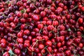 A bunch of berries of cherries at the market. ÃÂ  A large collection of fresh ripe red cherry. vitamins, healthy food Royalty Free Stock Photo